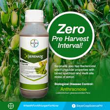 Serenade Bio Organic Fungicide - Bacillus amyloliquefaciens